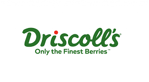 Driscoll's logo