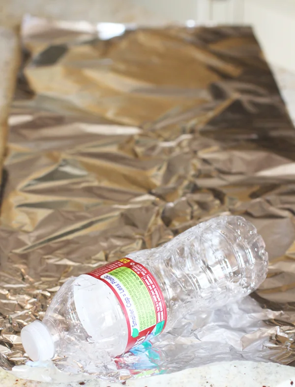 To start the cornucopia you first need to create your mold so depending on the size of your cornucopia you want to use a regular sized water bottle (for a 10-12